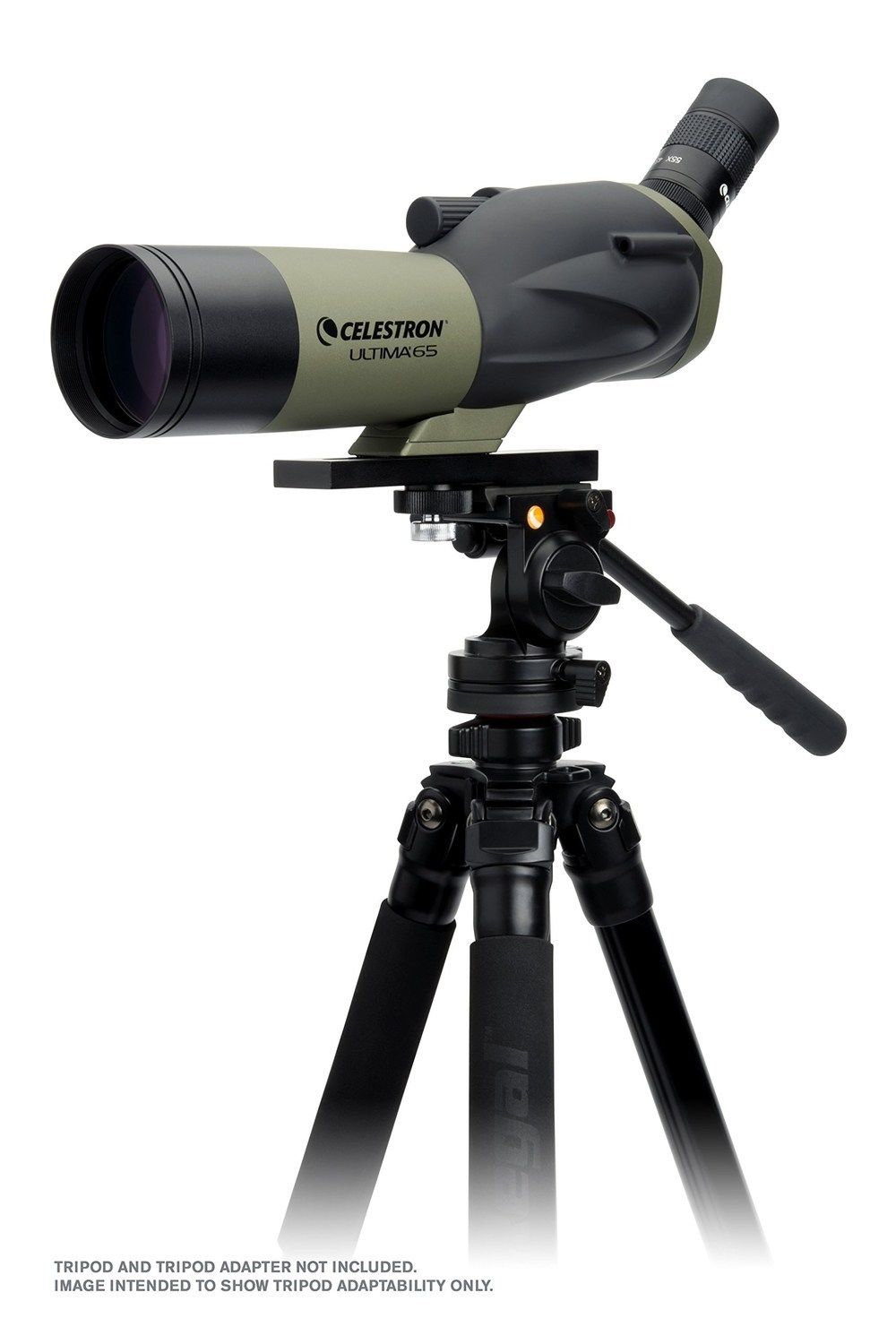 Ống nhòm ngắm chim Celestron Ultima 65 18-55x chính hãng