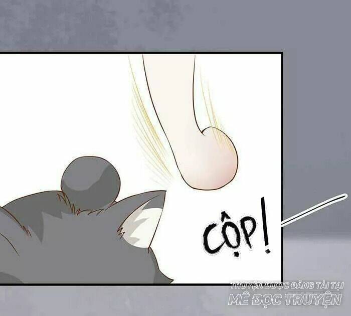 công chúa là nam nhân chapter 17.1 16