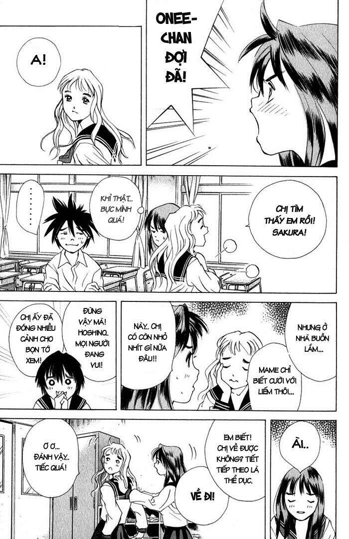 parallel chapter 17 29