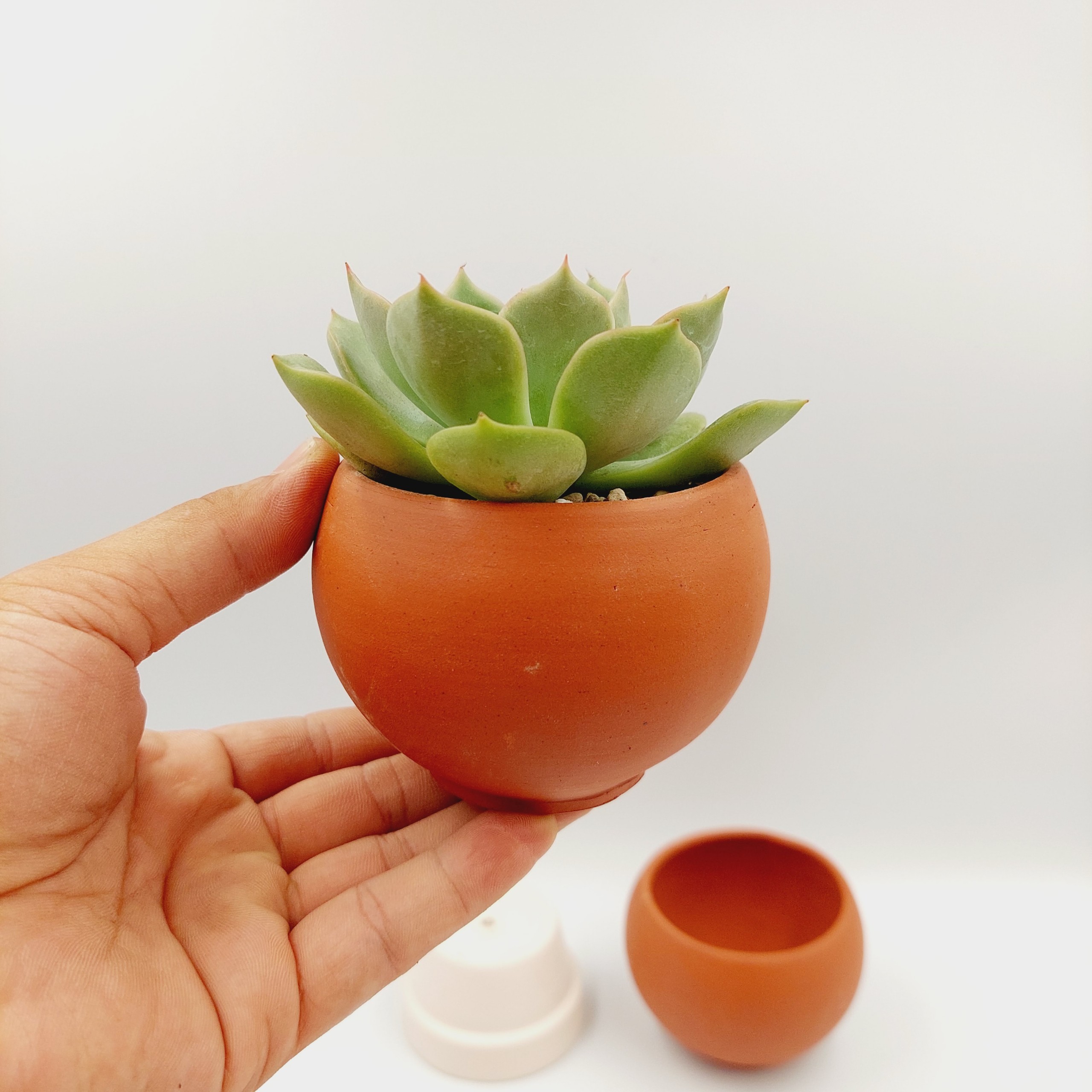 Chậu đất nung, chậu sen đá - Trái banh mini 76 , miệng chậu 7cm, chiều cao 6cm