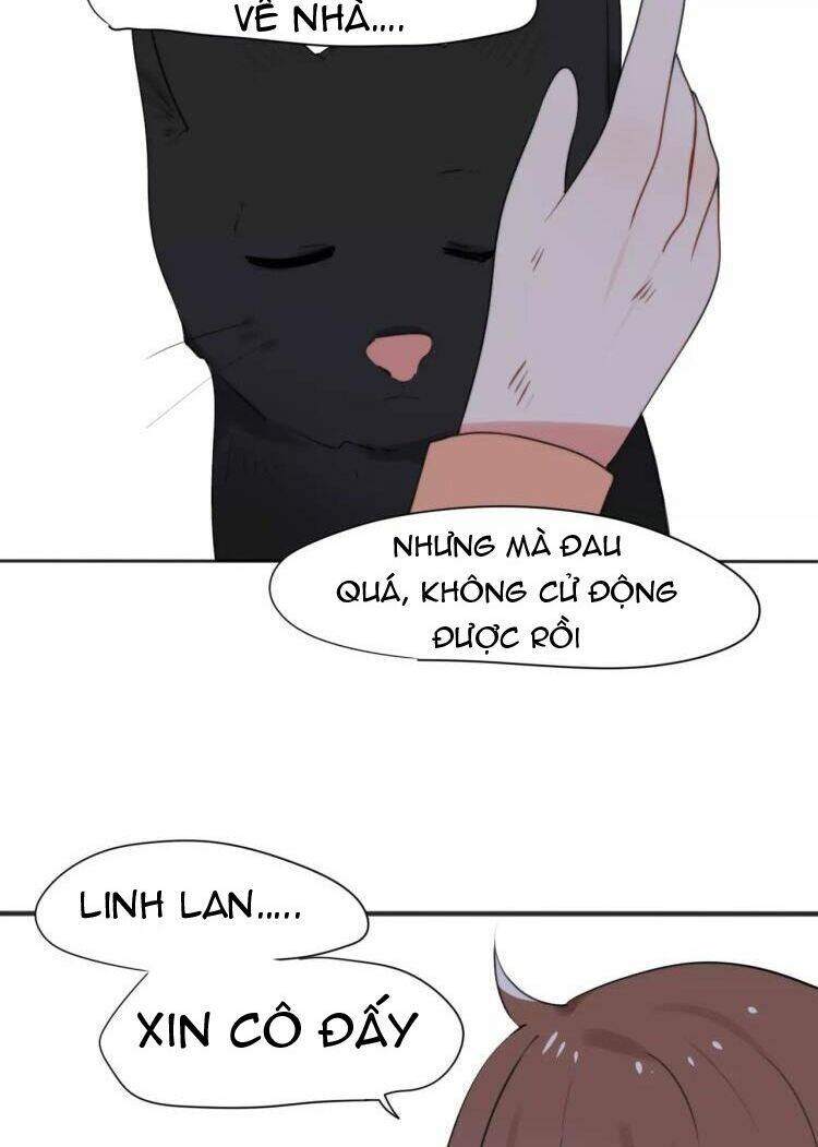 tiểu miêu và hắc diệu thạch chapter 27 13