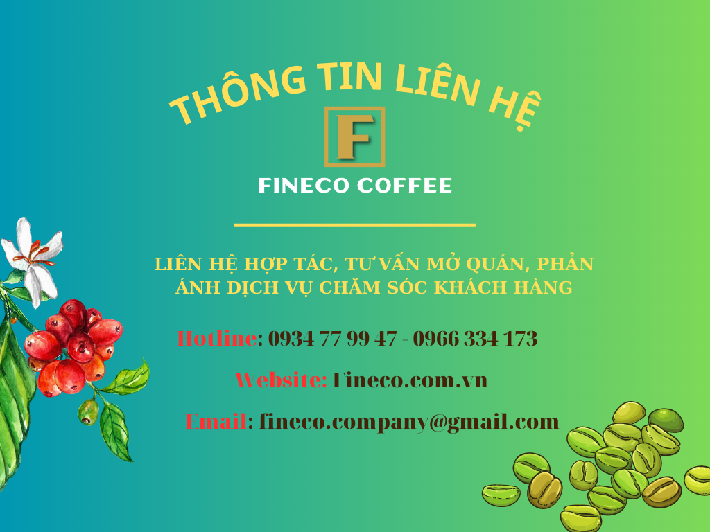 Arabica Washed - Vị đắng nhẹ, chua thanh, hương trái cây, hậu ngọt dịu - Cà phê pha phin/ Pha máy |250 - 500gr|