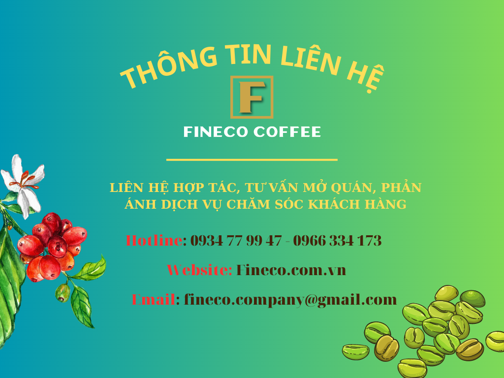 Arabica Washed(Chế biến ướt) - Vị đắng nhẹ, chua thanh, hương trái cây, hậu ngọt dịu - Cà phê pha phin/ Pha máy |250 - 500gr|