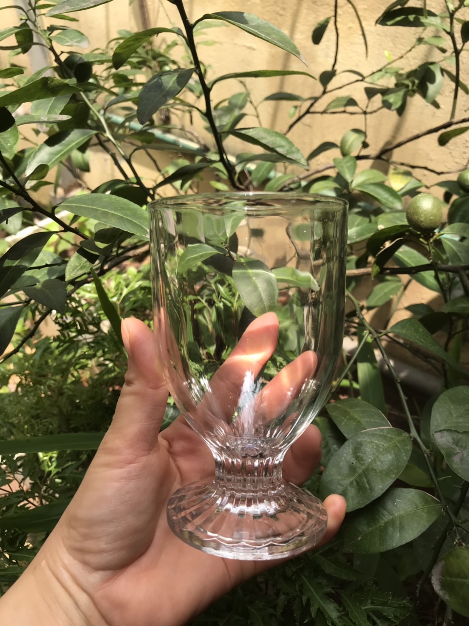 Bộ 6 ly thủy tinh dùng đựng kem, nước trái cây, sinh tố_280ml