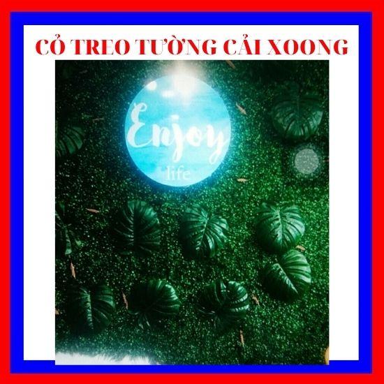 Cỏ nhân tạo treo tường cải xoong ,cỏ trang trí mắt châu rộng 40 x dài 60 tấm