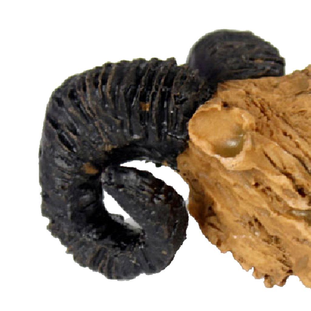 Pair Skull Design Terrarium Vivarium Decoration Landscape Decoration DIY