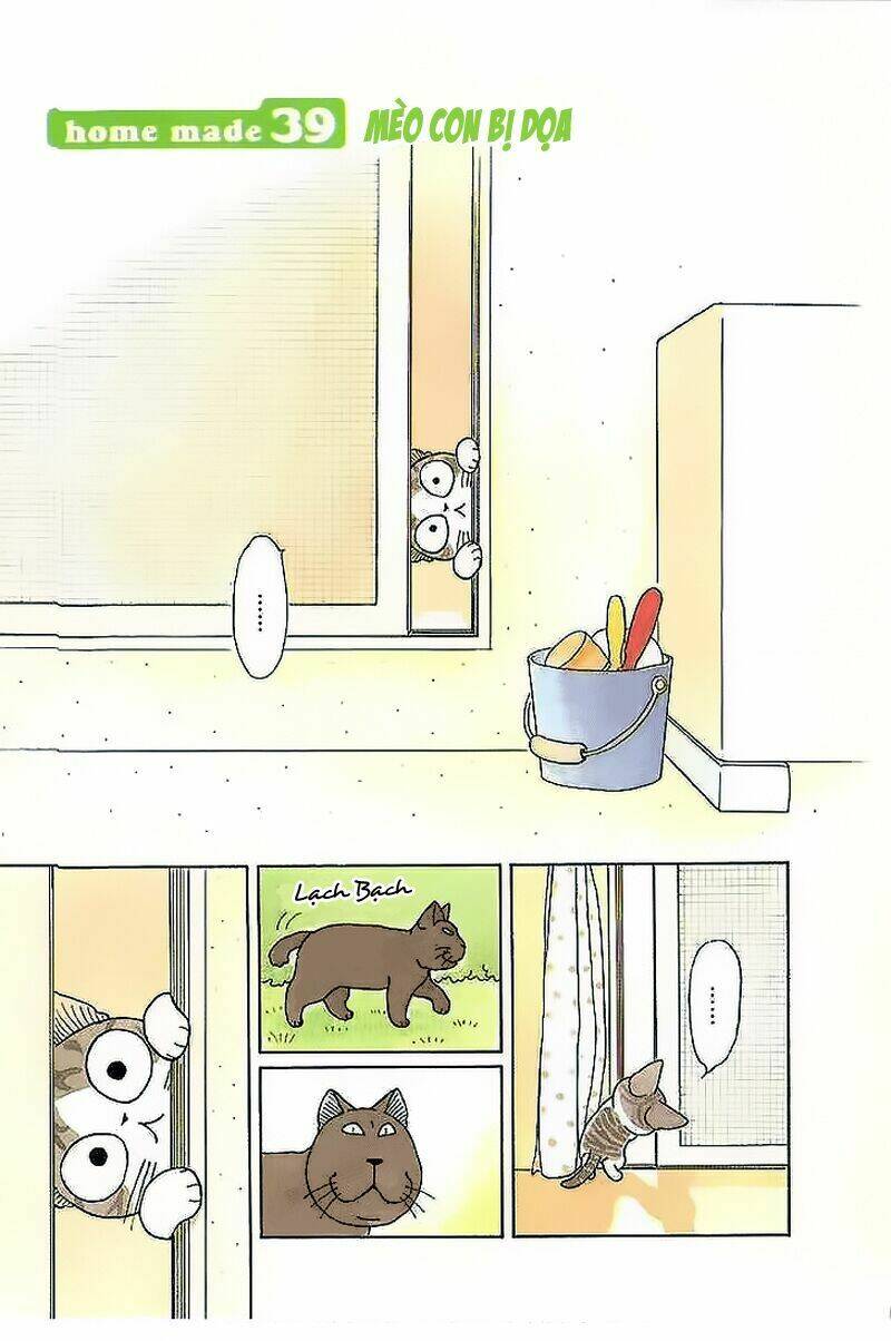 chi's sweet home chapter 39 8