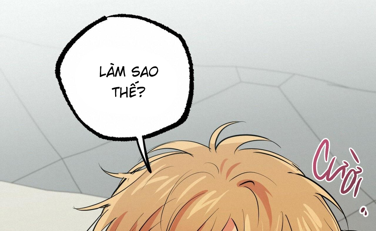 những chú thỏ của hapypy chapter 52 65