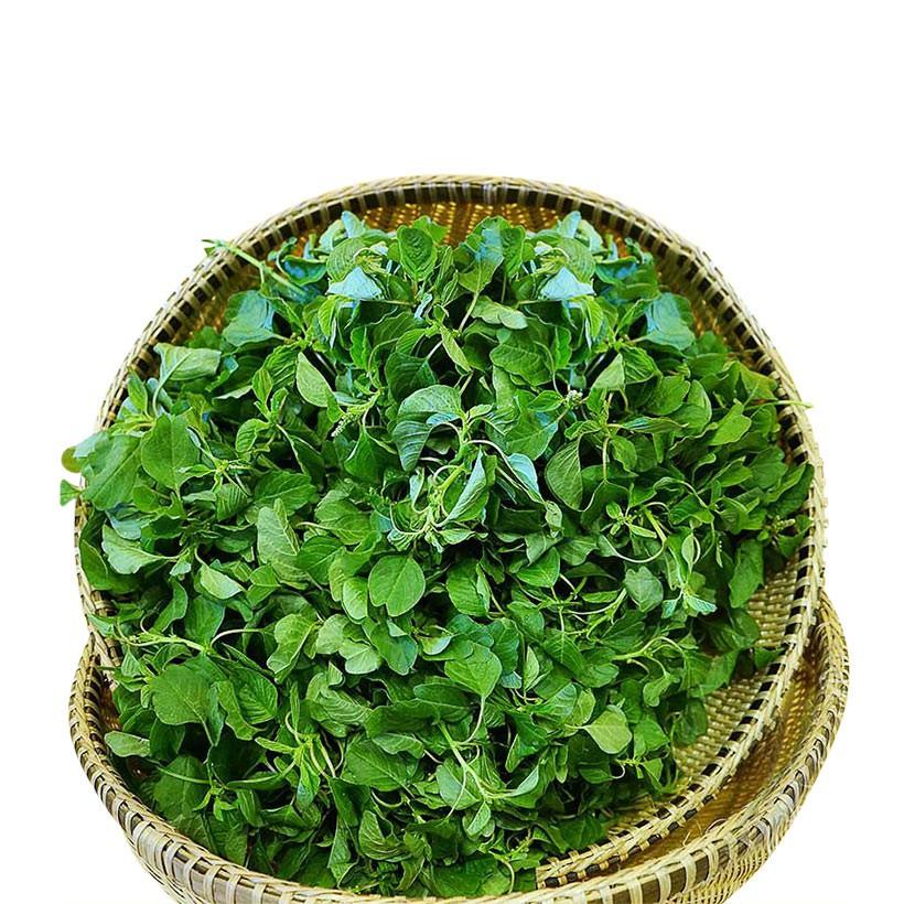 Hạt giống rau dền cơm CT107 - Gói 10gram