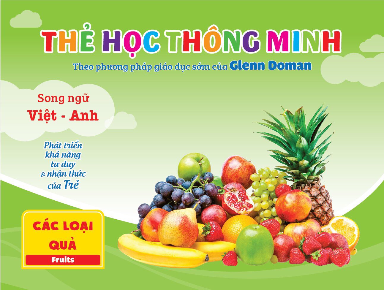 Flashcard cho bé theo phương pháp Glenn Doman - Bộ thẻ học thông minh