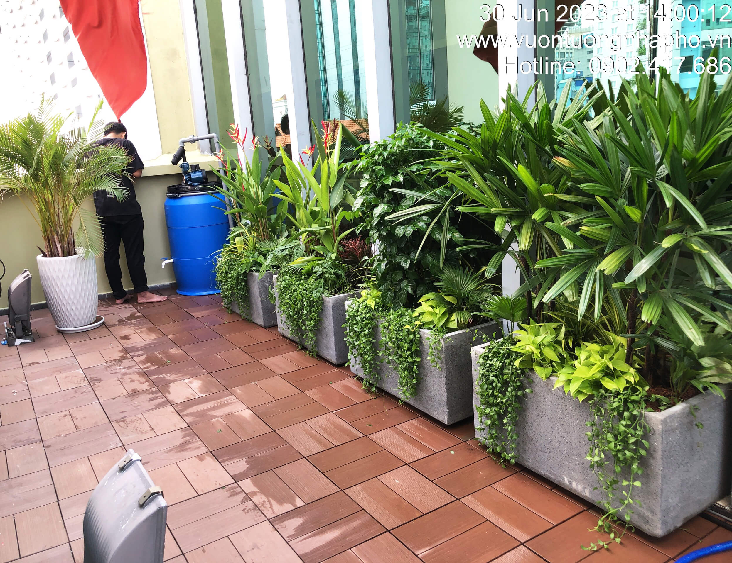 Chậu Đá Mài Cây Xanh Ban Công size lớn gồm Chậu, cây xanh, đất trồng và phân bón với thời gian bảo hành 2 tháng