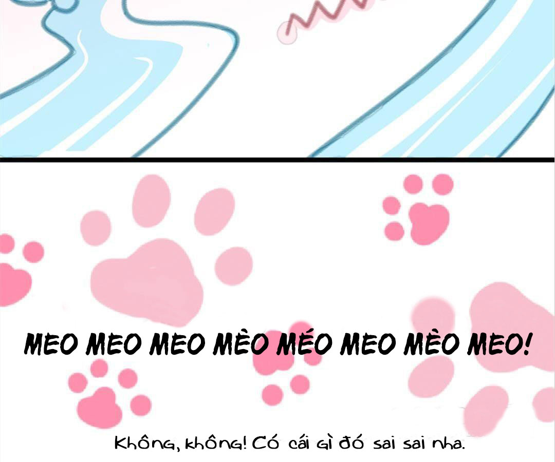 social cat chapter 1 29