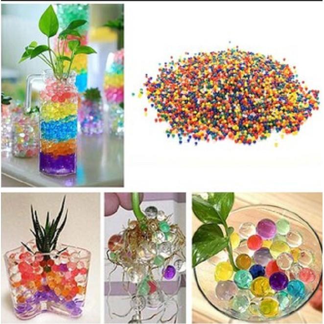 Bộ 10 Gói Hạt Tinh Thể Trồng Cây - Trang Trí
