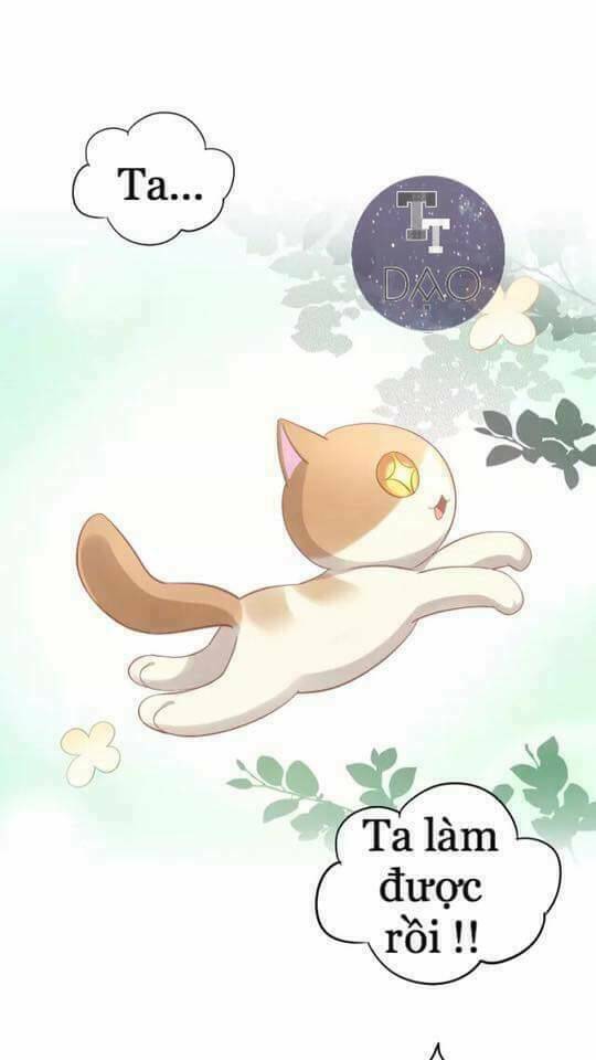 dưới móng vuốt mèo chapter 7 33