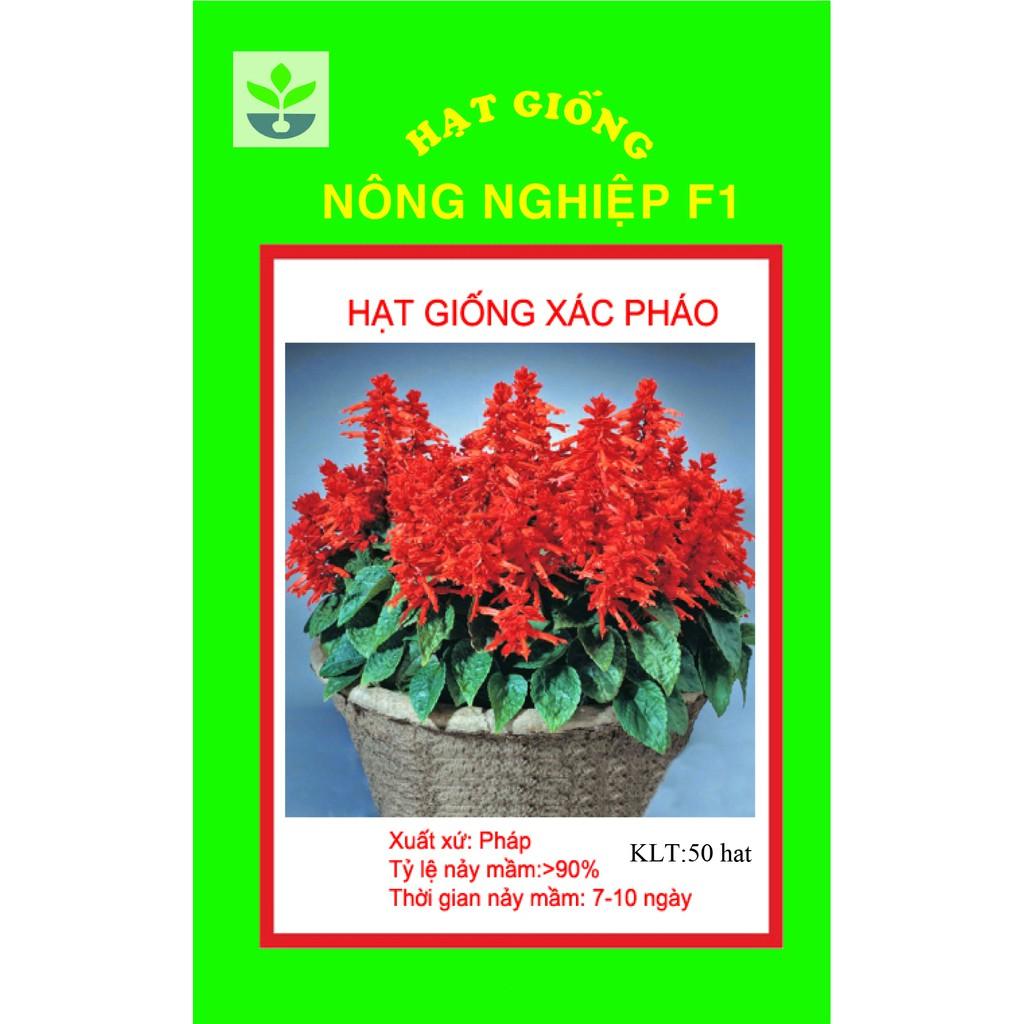 gói 100 hạt giống xác pháo đỏ