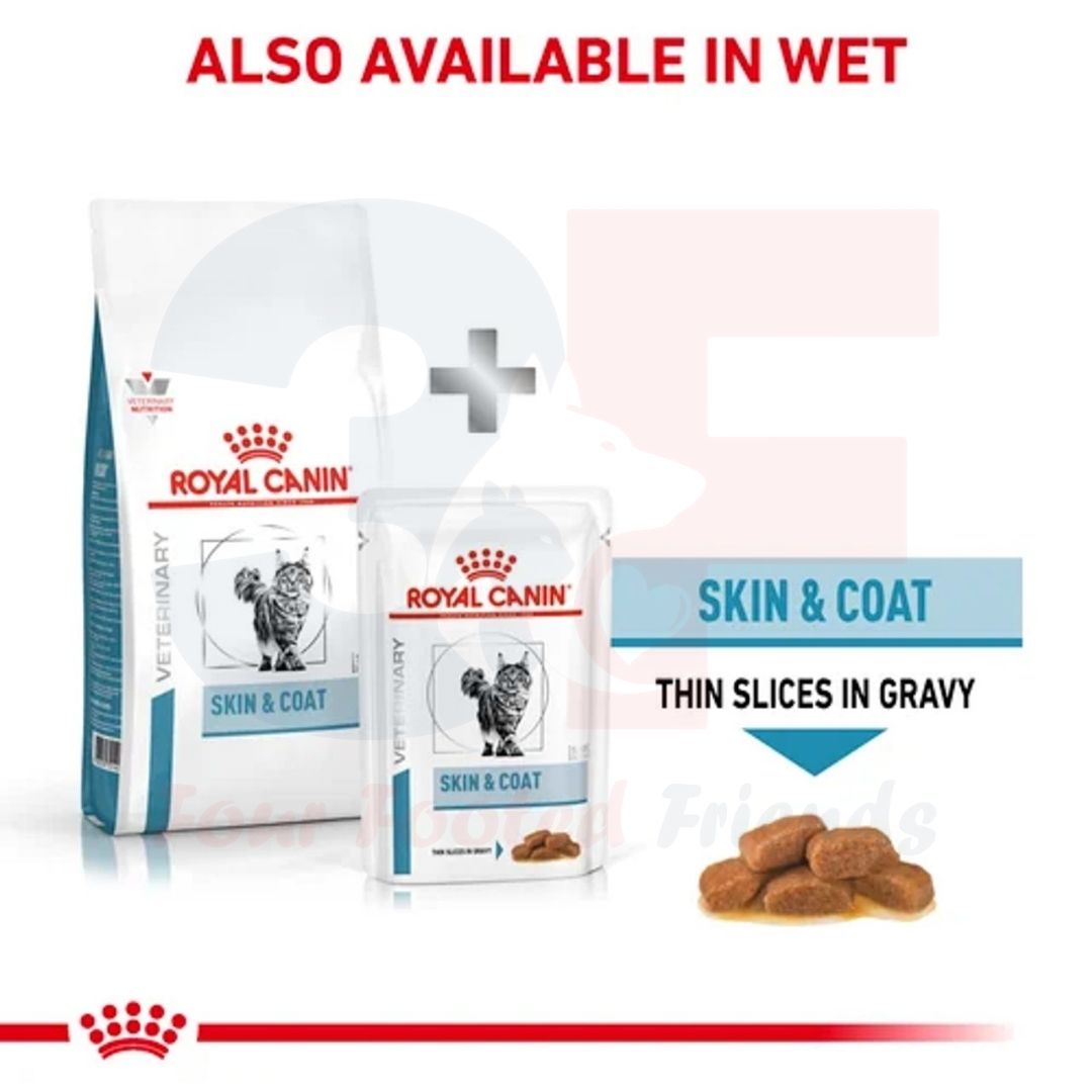 Hạt Thức Ăn Khô Dành Cho Mèo Bị Viêm Da Và Rụng Lông: Royal Canin Skin &amp; Coat