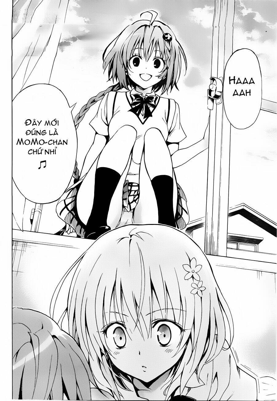 bọn tớ thích cậu! rito 2 - venus chapter 8 35