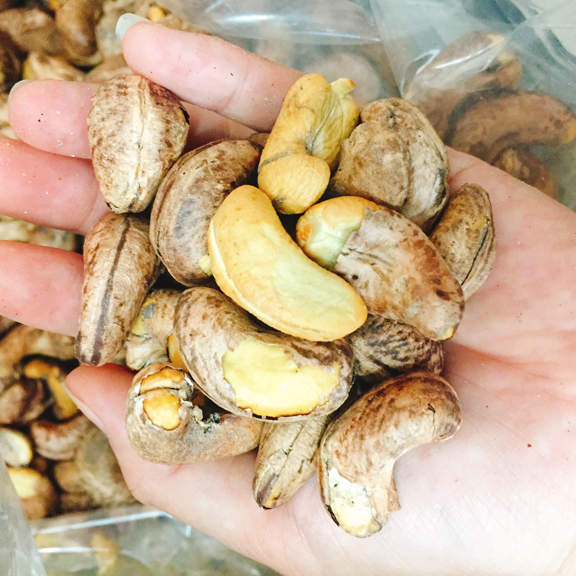 Combo Mixed Nuts 4 loại hạt dinh dưỡng tách vỏ 250g