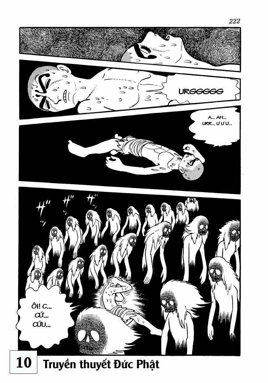 buddha - truyền thuyết đức phật chapter 49 13