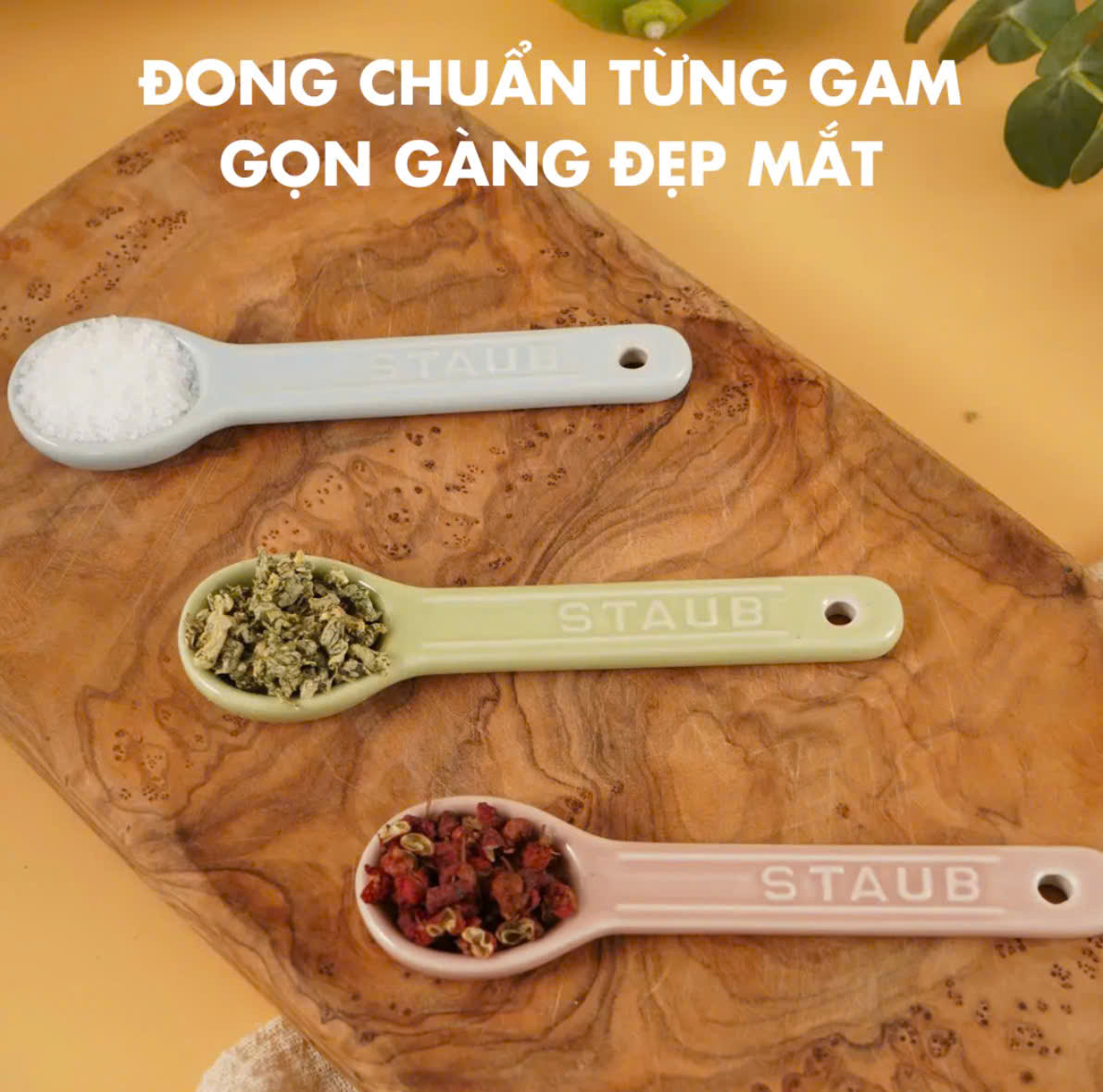 Hũ đựng gia vị 3 màu Staub Macaron gốm sứ cao cấp Hàng chính hãng