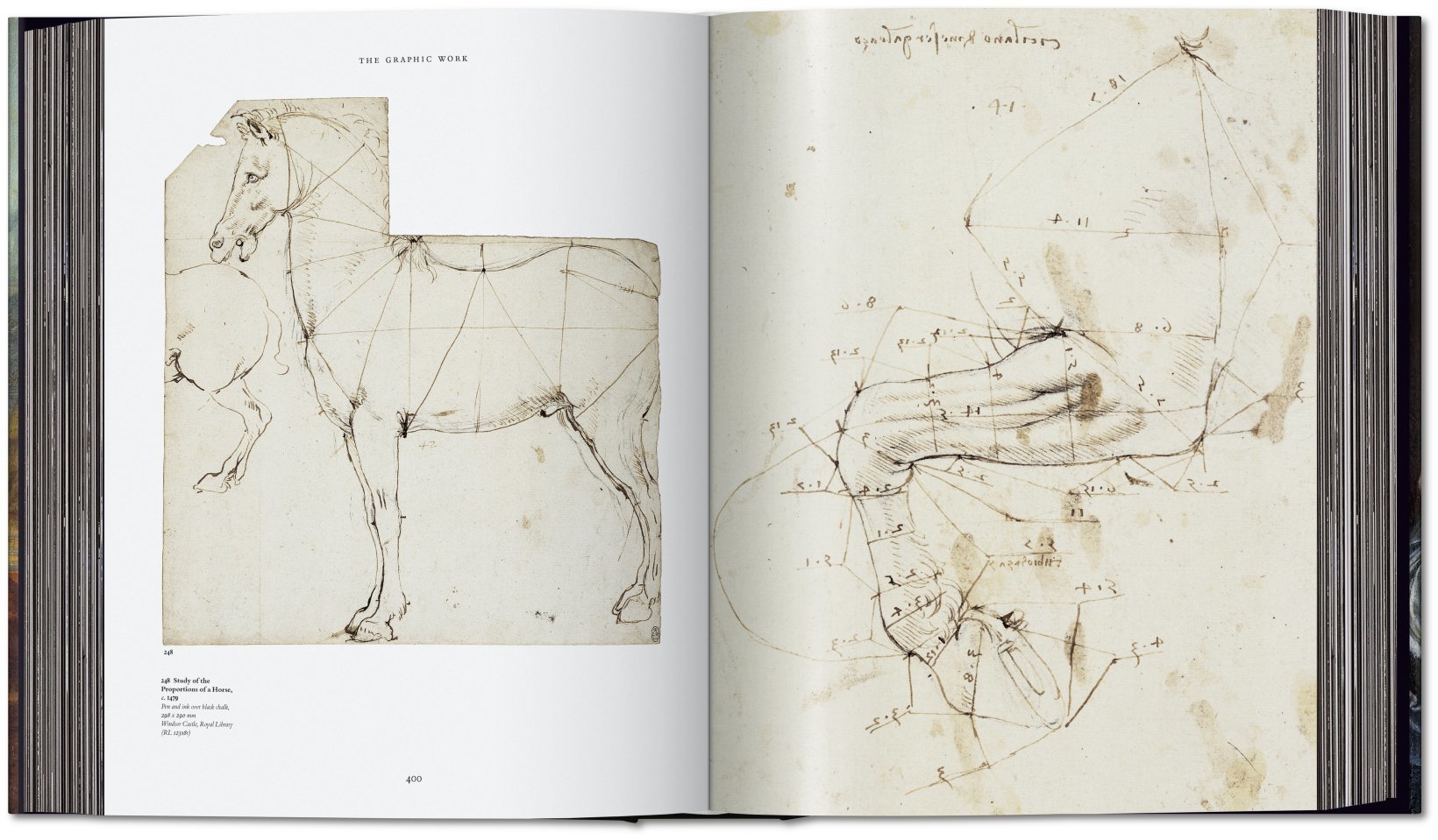 Leonardo: The Complete Paintings And Drawings