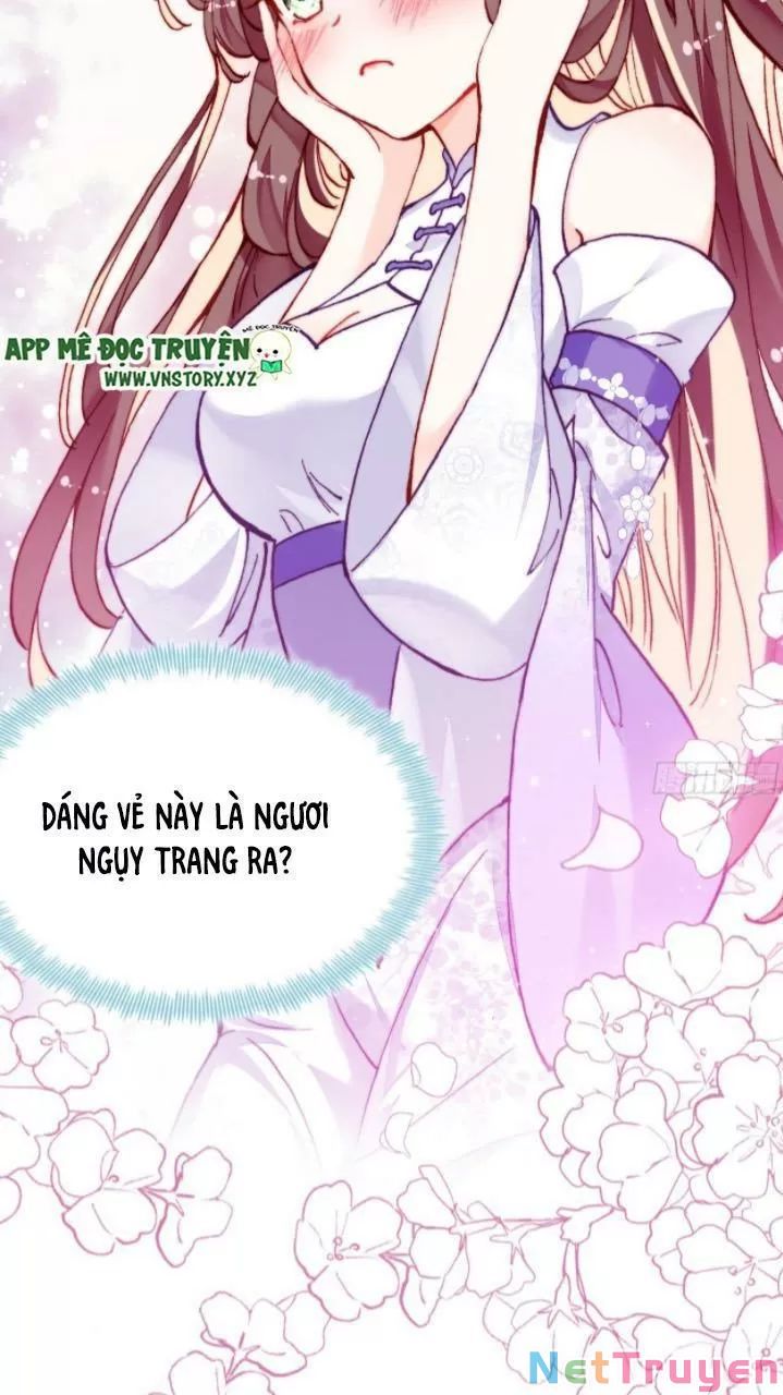 lại bị bệnh chiều chuộng quấn lấy chapter 17 50