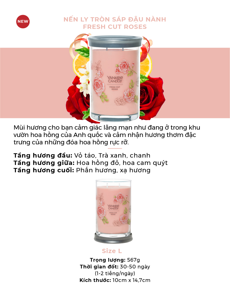 Nến ly tròn sáp đậu nành Yankee Candle size L (567g) - Fresh Cut Roses