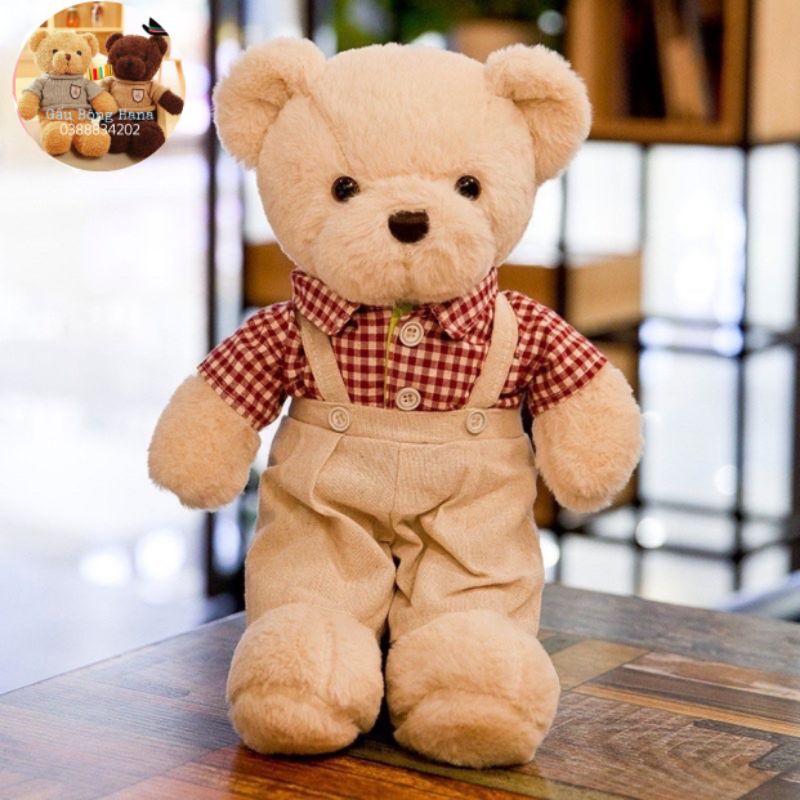 Gấu bông - gấu teddy đôi - Quà tặng cho bé kích thước 40cm - Gấu Bông Hana