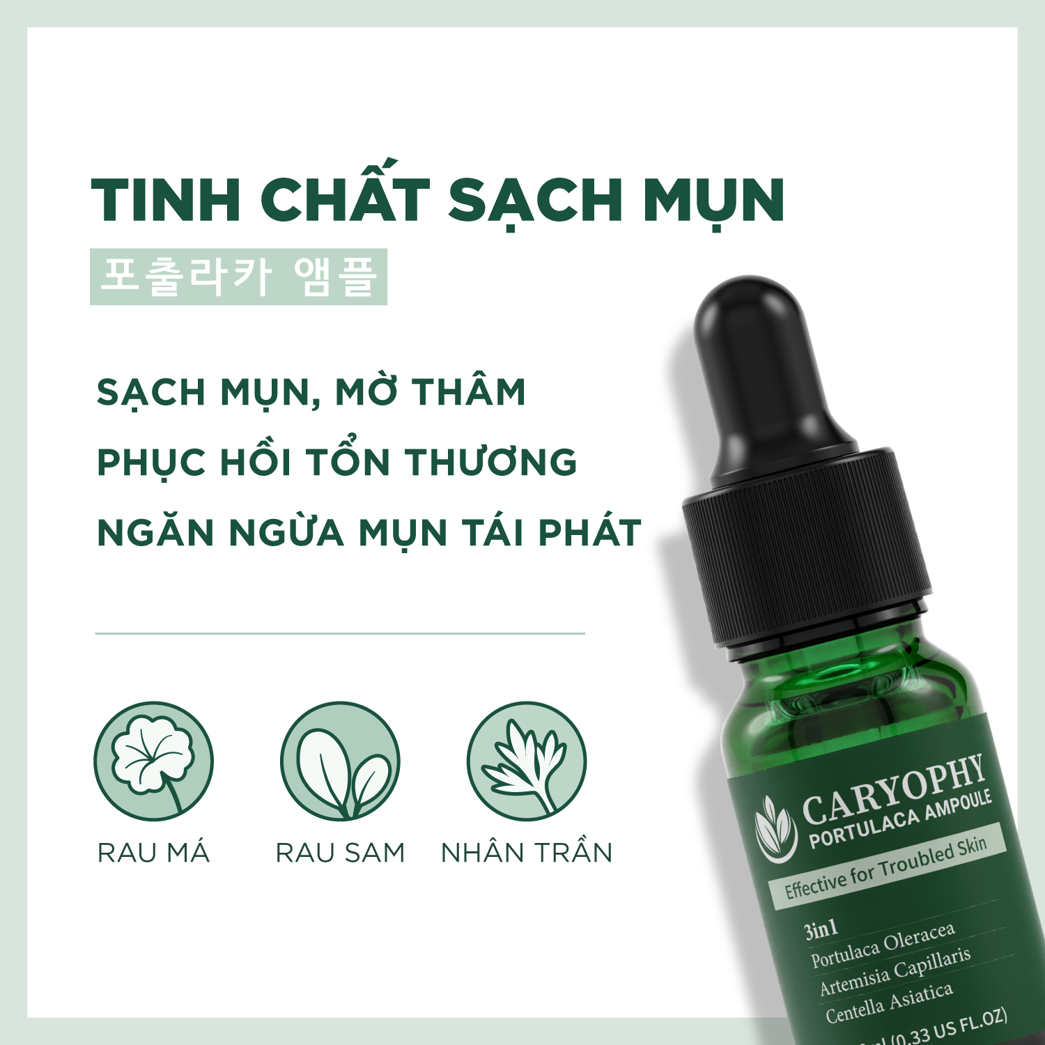 Combo 2 serum giảm mụn mờ thâm Caryophy Portulaca Ampoule 10ml
