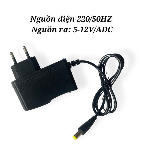 Sạc pin 12V WT-1