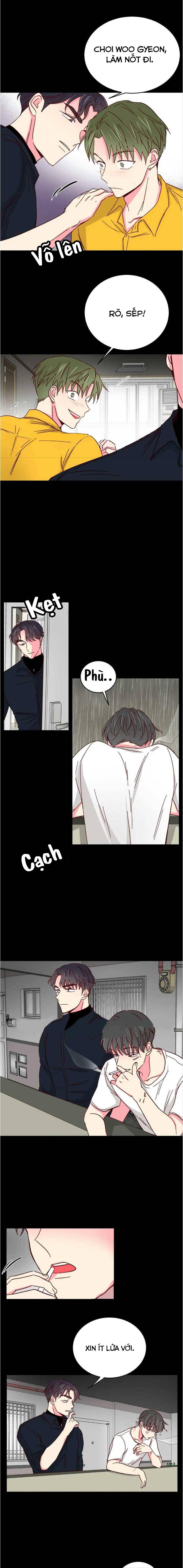 món tráng miệng của sếp tổng chapter 42 7