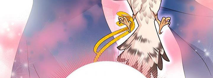 công chúa của loài chim chapter 51.1 266