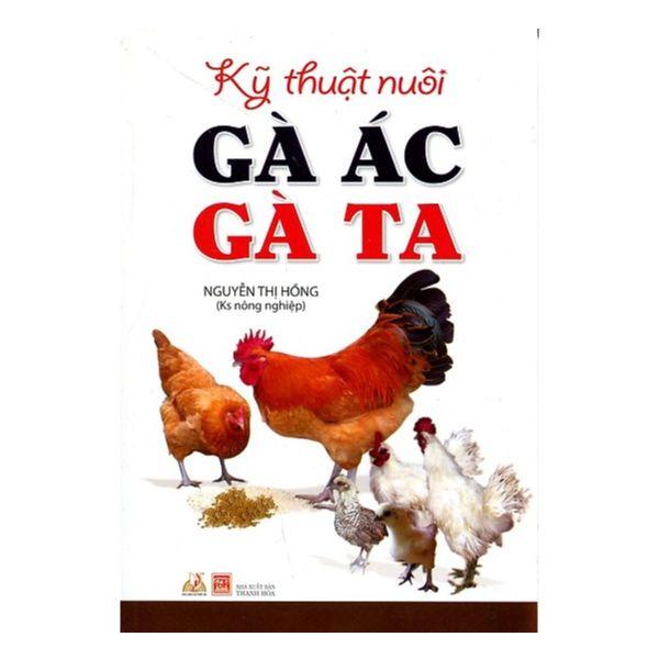 Kỹ Thuật Nuôi Gà Ác, Gà Ta