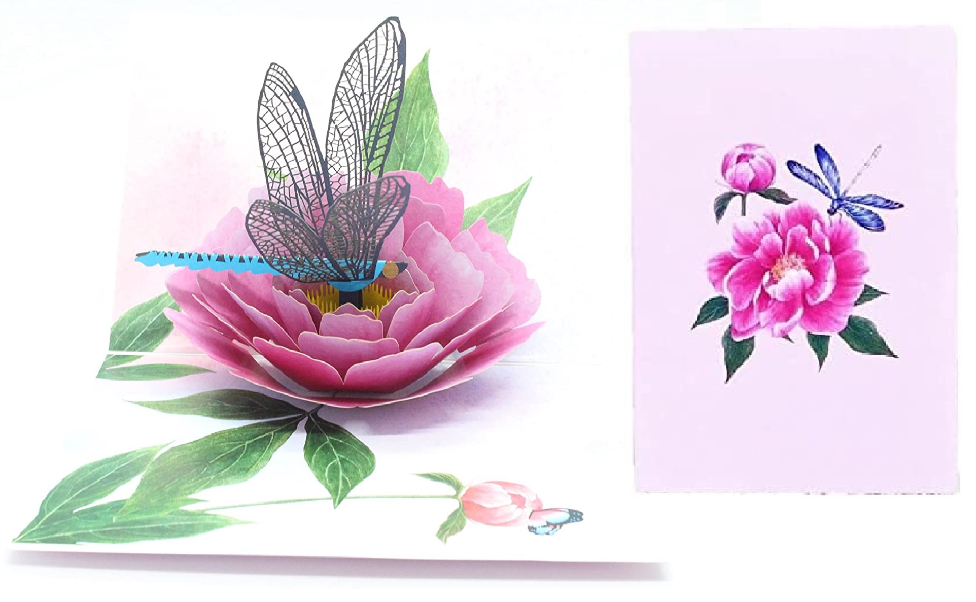 Thiệp 3D Pop Up Chuồn Chuồn &amp; Hoa Mẫu Đơn – Thiệp Hoa Nghệ Thuật, Thiệp Chúc Mừng, Sinh Nhật, F08