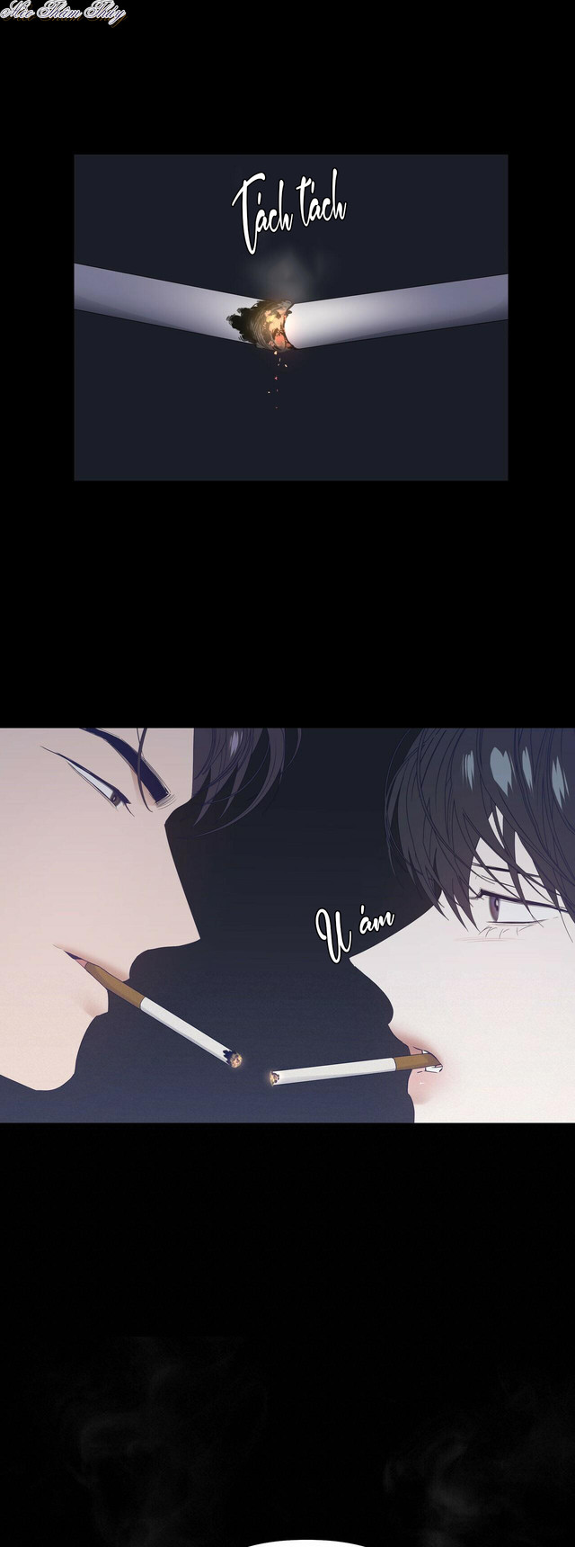 hội chứng chapter 40 27