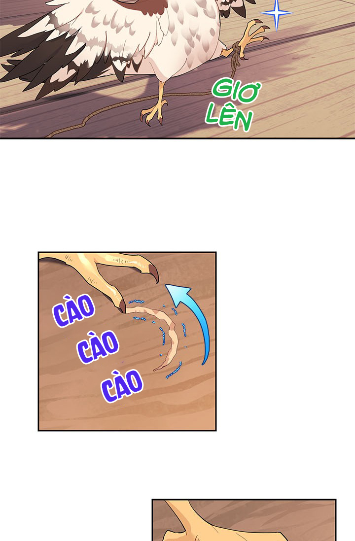 công chúa của loài chim chapter 6 11