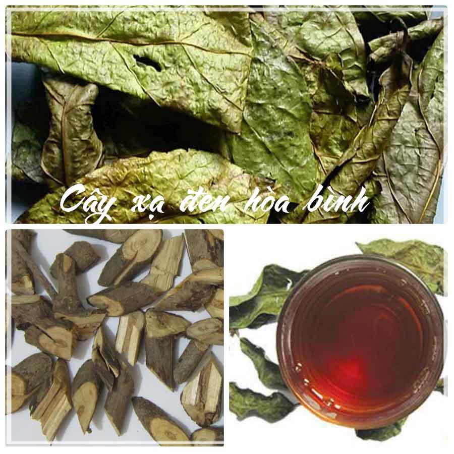Combo 2kg Cây Xạ Đen Hòa Bình khô