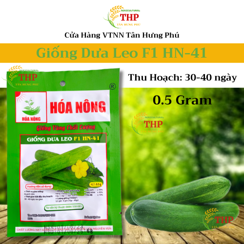 Hạt giống Dưa Leo F1 HN-41 | Hạt Giống | gói 0.5gr