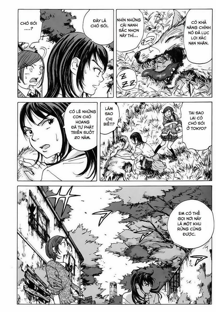 cúp quốc sư tử chapter 3 21