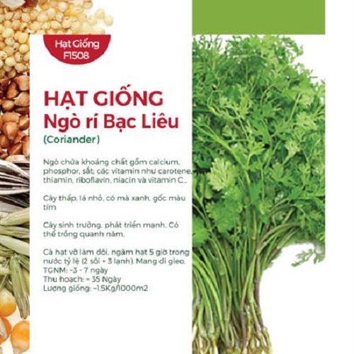 Hạt Giống Ngò Rí Bạc Liêu 699AQ (20gr)