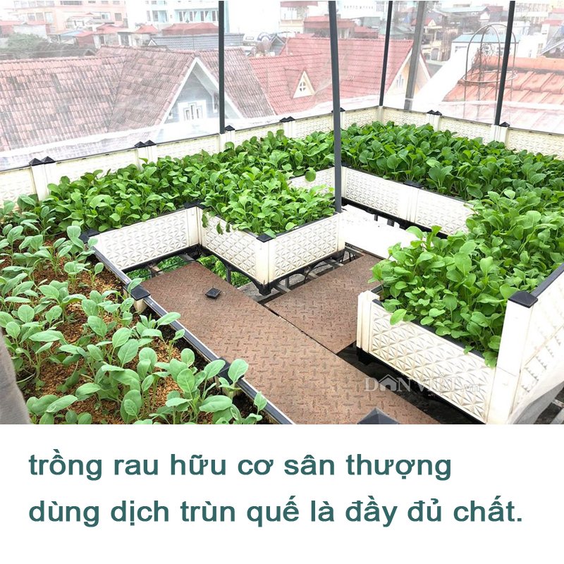 1 Lít - Dịch trùn quế SBC DHgold cô đặc, Đầy đủ đa,trung,vi lượng, đầy đủ chất cho cây -76129