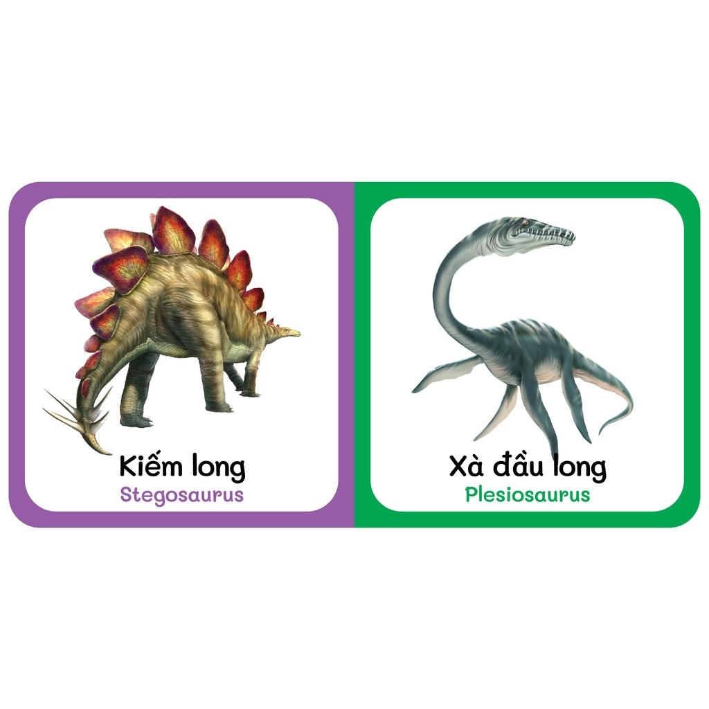 Sách - Baby'S First Picture Dictionary - Từ Điển Bằng Hình Đầu Tiên Của Bé - Khủng Long - Dinosaurs (Bìa Cứng)