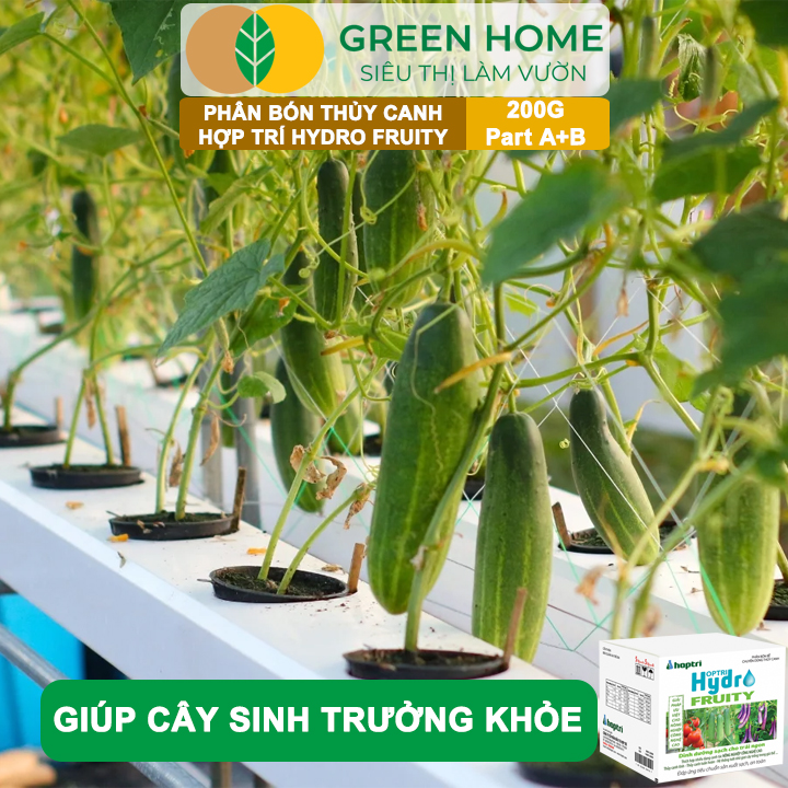 Phân bón Hợp Trí Hydro Fruity GreenHome, Hộp 200g (Part A+B), Chuyên Cho Cây Ăn Trái Trồng Thủy Canh