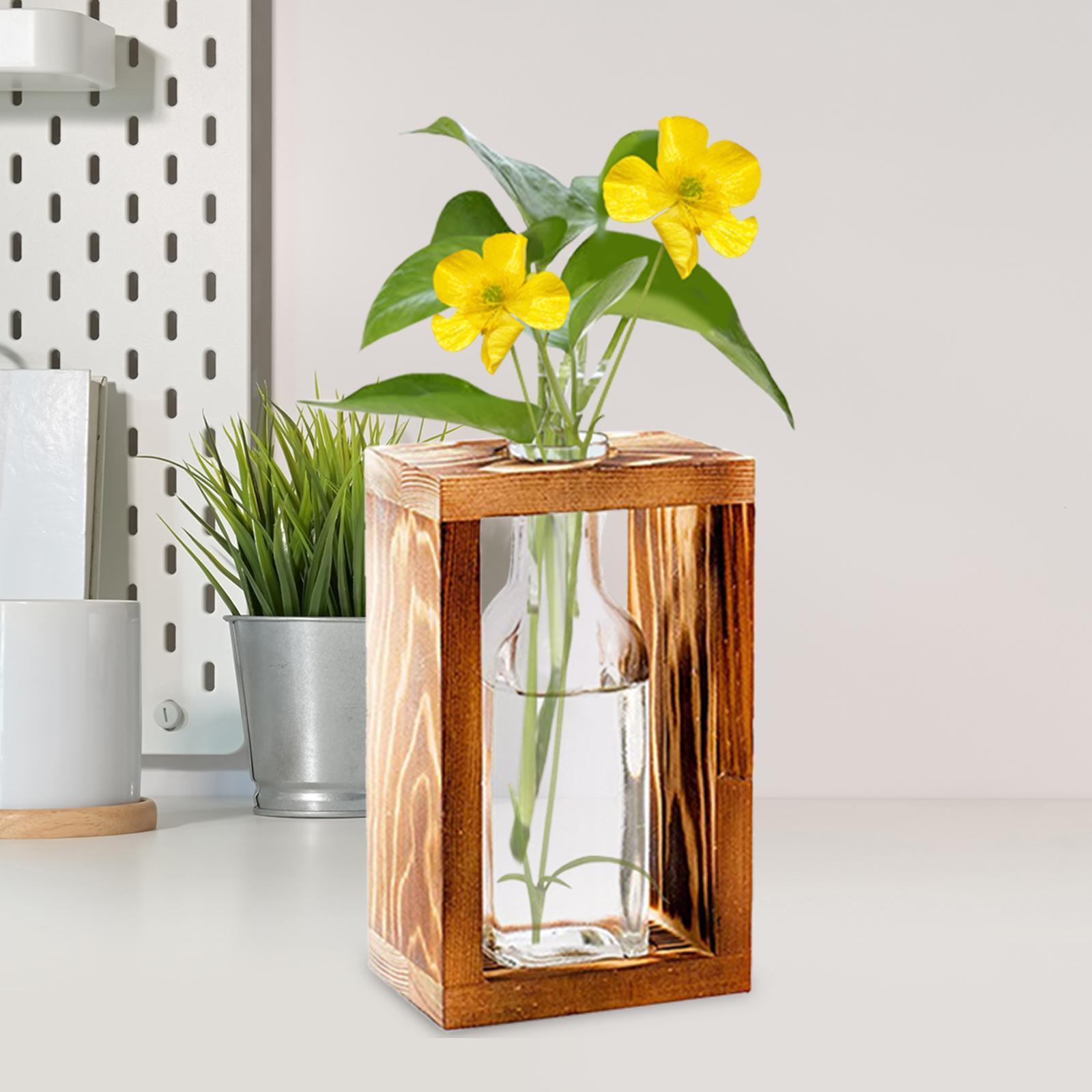 Plant Vase home Pot Garden Decor Desktop Container Holder