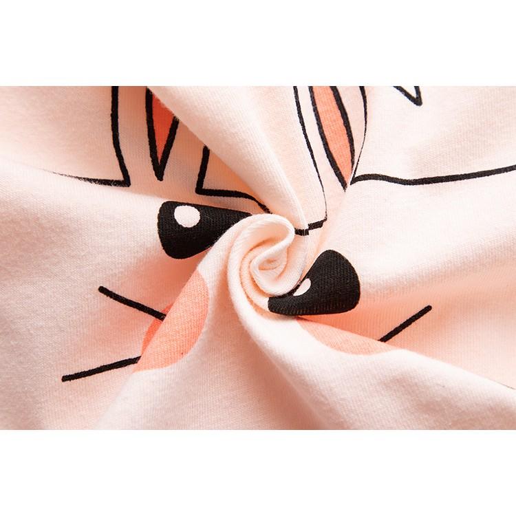Quần Lót Nữ Cotton Kháng khuẩn Thời Trang Hình Thỏ Xuất Hàn Hàng Loại Đẹp.
