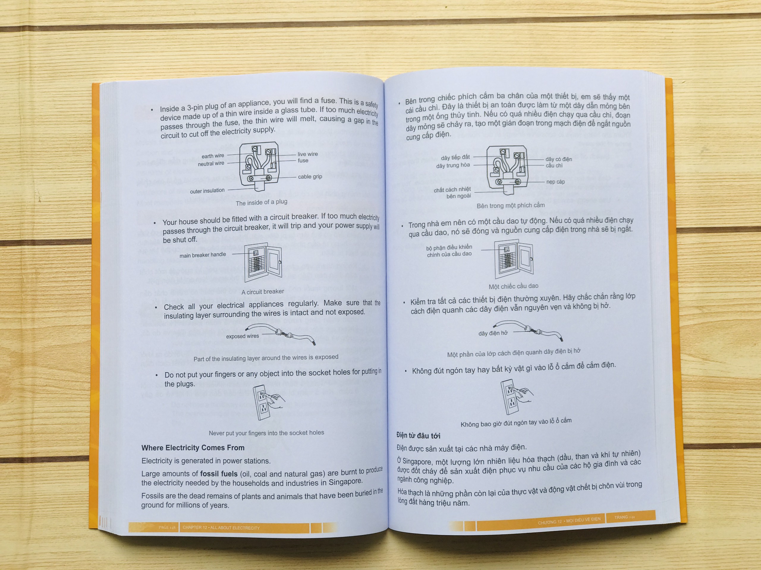 Sách khám phá thế giới khoa học 2 - Science Partner 2 ( 10 - 12 tuổi )