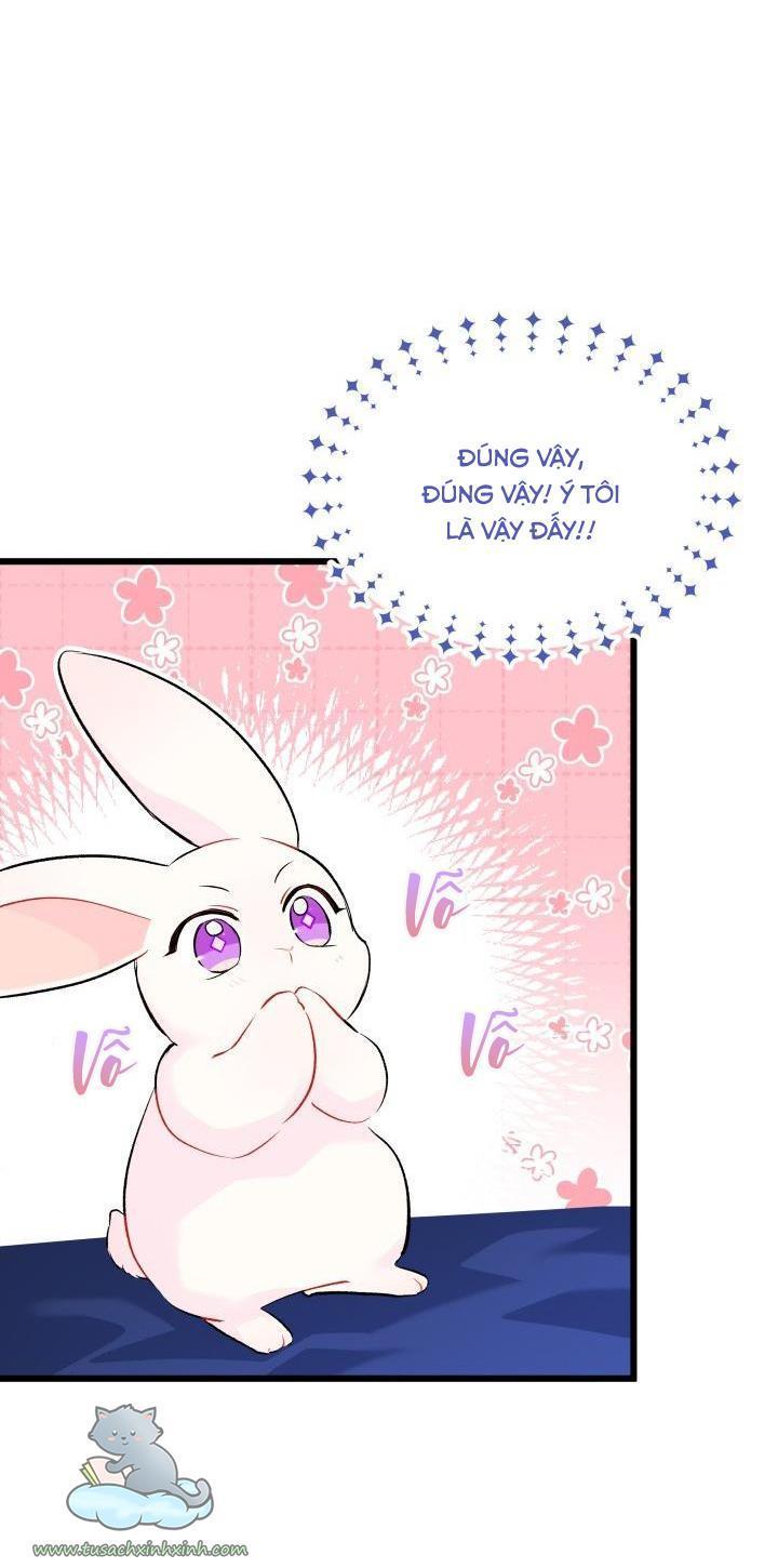 quan hệ cộng sinh giữa báo đen và thỏ trắng chapter 46 69