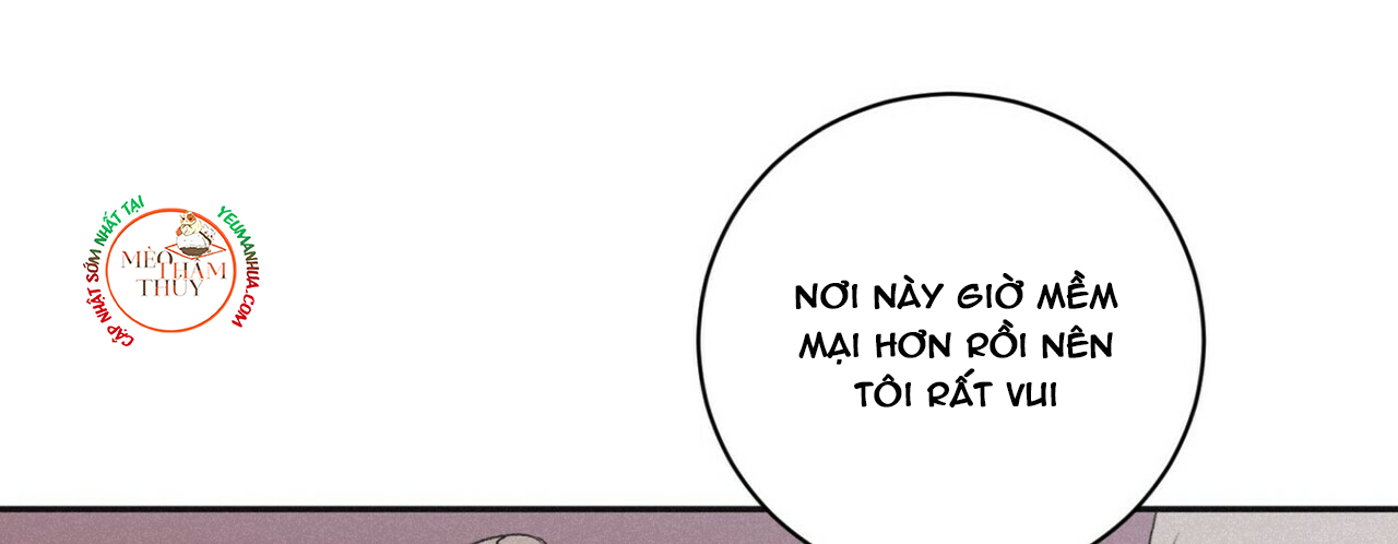 chiếu tướng chapter 44 50