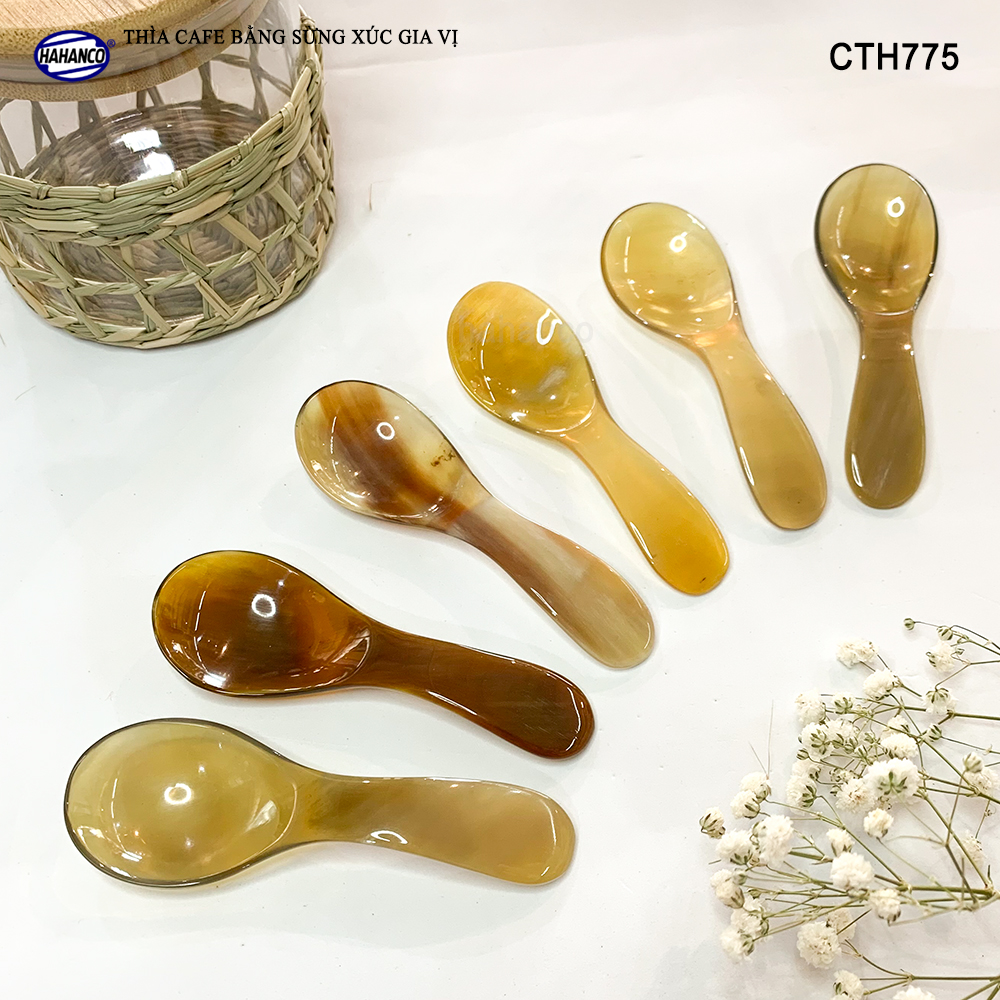 Thìa Xúc Gia Vị Đồ Khô Bằng Sừng Tự Nhiên HAHANCO Size Nhỏ 9.7cm