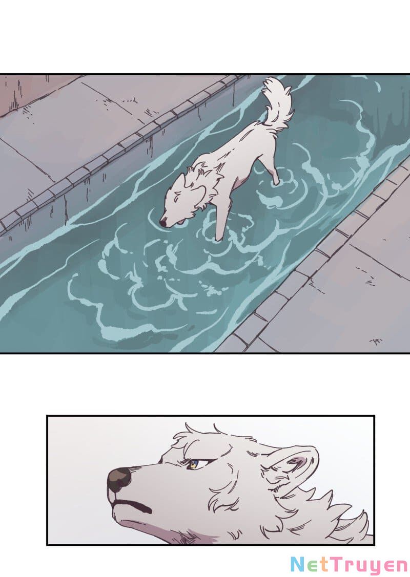 lumine - cội nguồn ánh sáng chapter 89 36